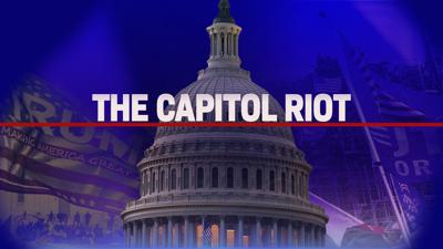 Capitol Riot image